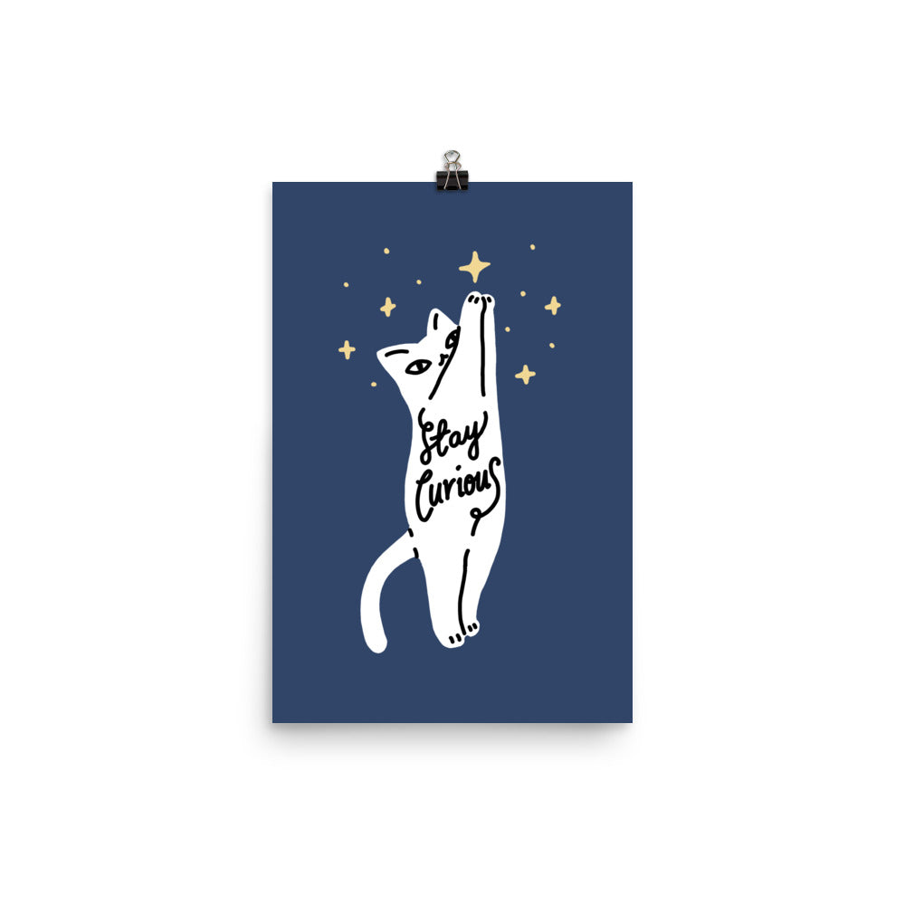 Stay Curious Cat - Art print